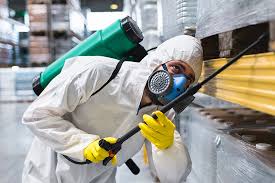 Best Fumigation Services  in Wickenburg, AZ